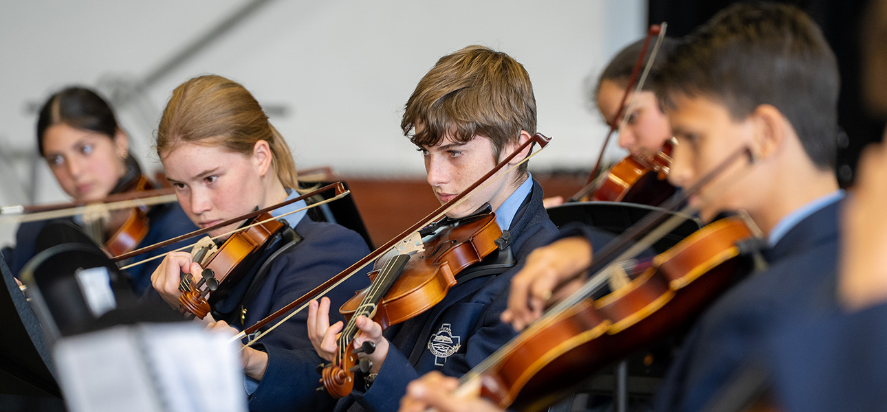 Ensemble Instrumental - Classical Orchestral Ensemble