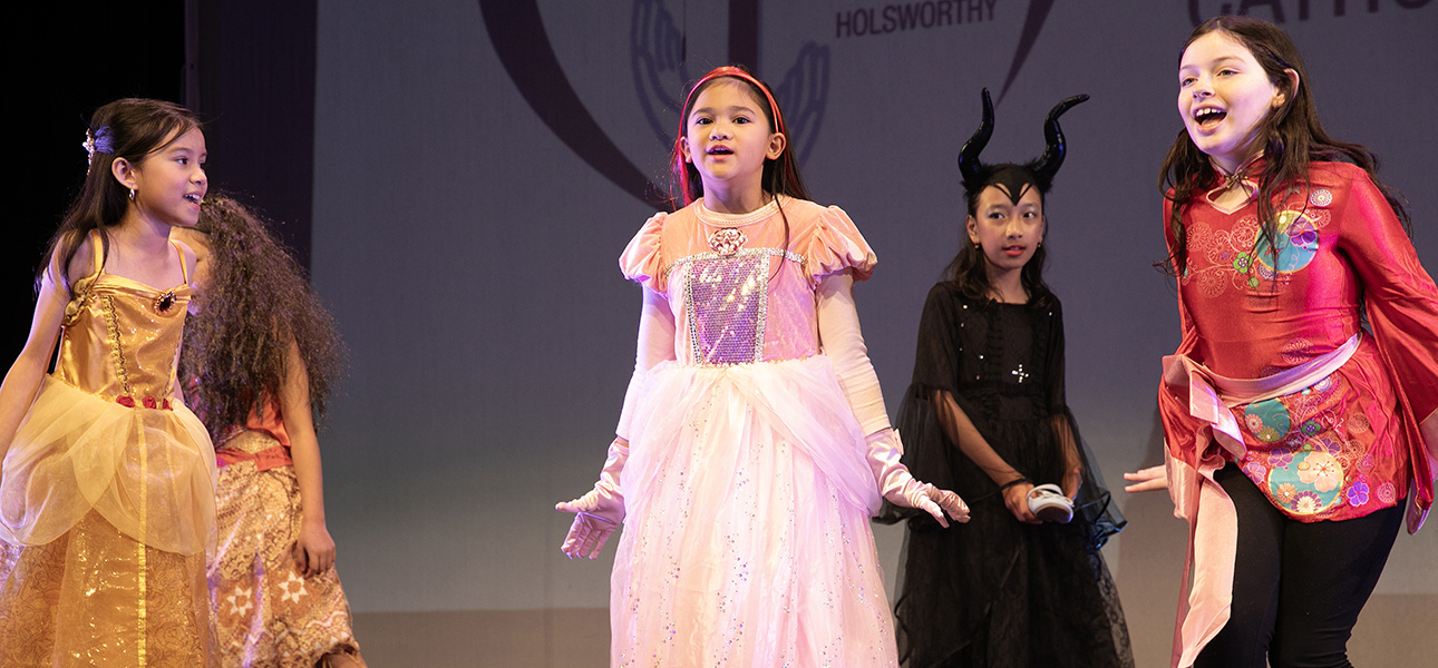 Self-Devised-Performance-Small-Ensemble-Primary